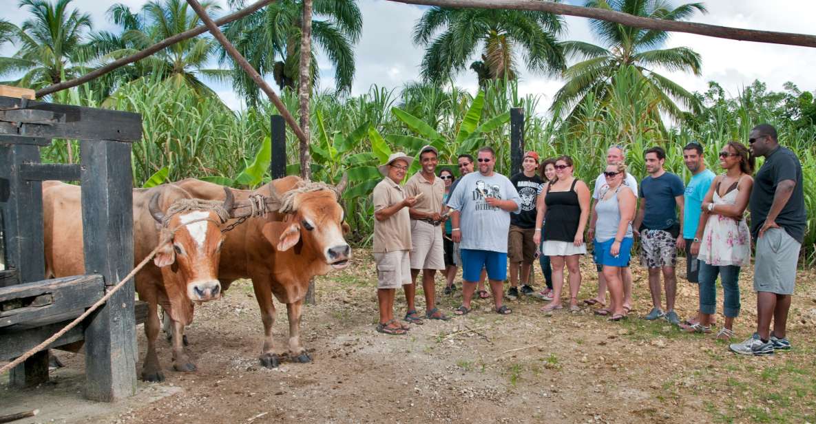 From Punta Cana: Safari Traditional Tour With Lunch - Tour Highlights