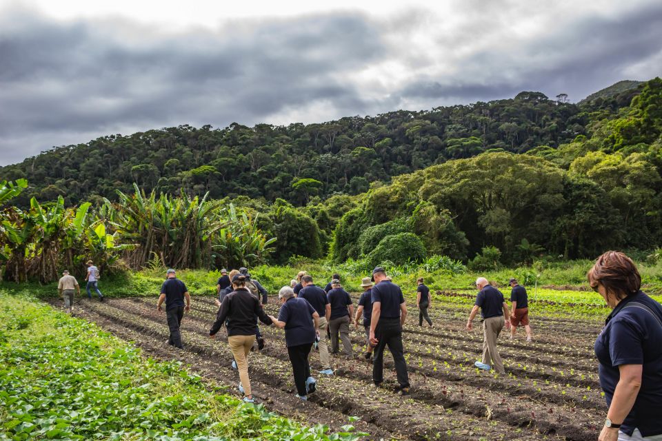 From Rio: Brejal Countryside Farm and Nature Day Trip - Additional Activities