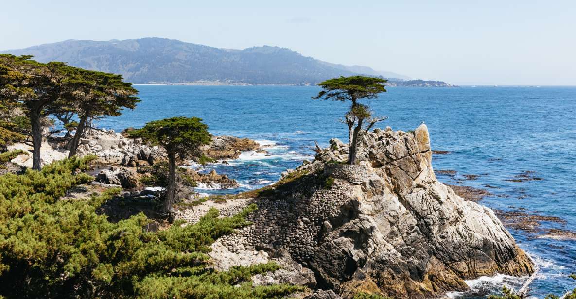 From San Francisco: Monterey and Carmel Day Tour - Itinerary