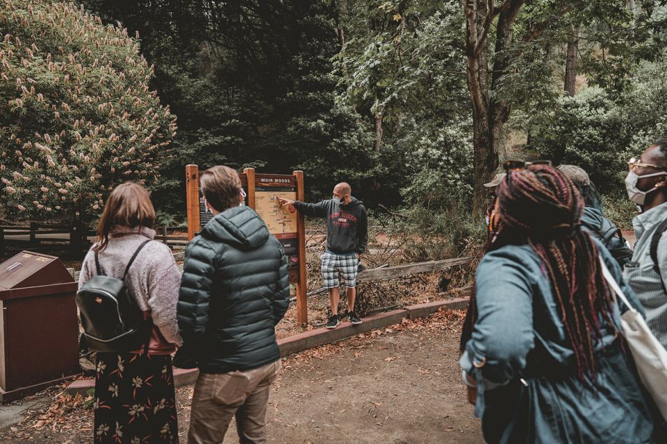 From San Francisco: Muir Woods Redwood Forest Tour - Reviews