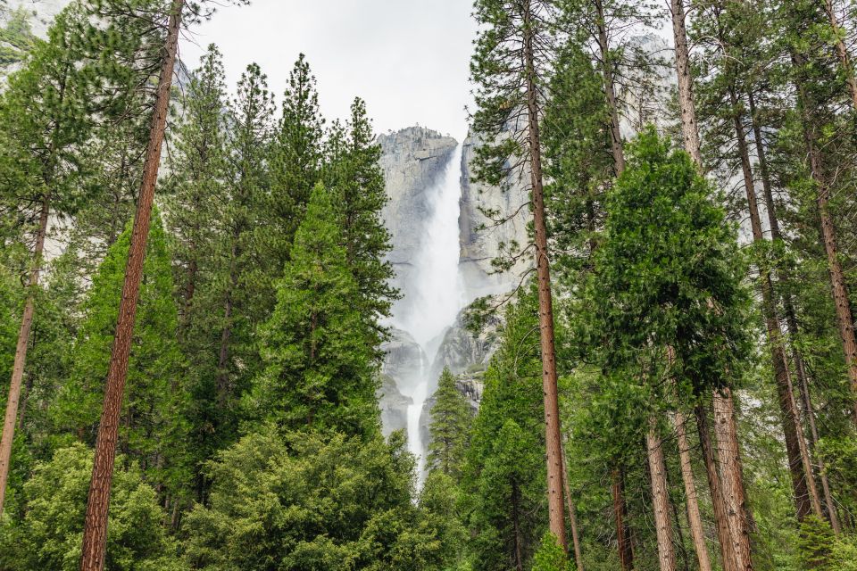 From San Francisco: Yosemite National Park Guided Day Trip - Review Summary