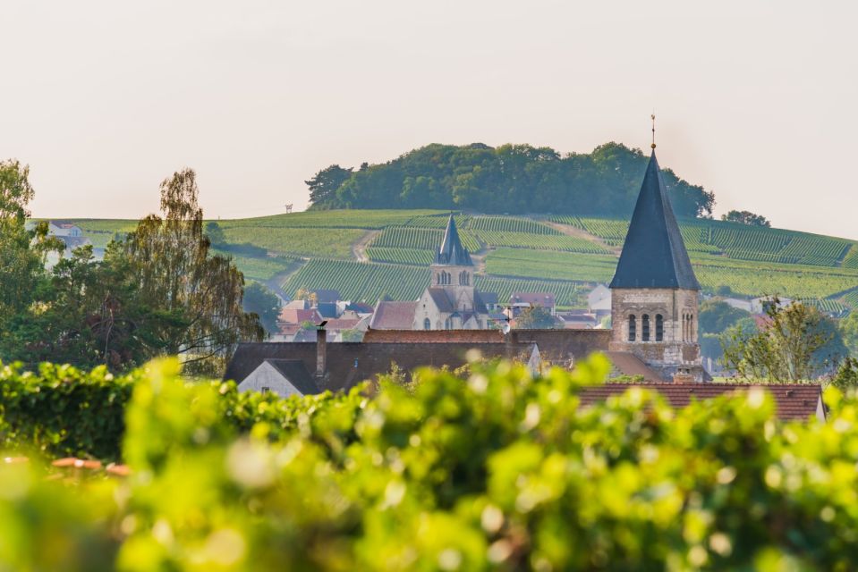 Full Day Pommery Small Group Tour - Logistics Information