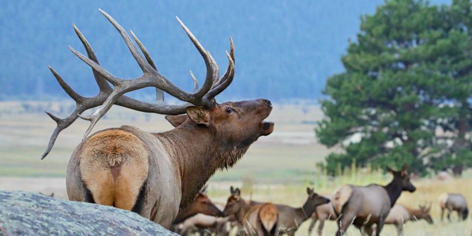 Full-Day RMNP Over the Top Tour - RMNPhotographer - Inclusions