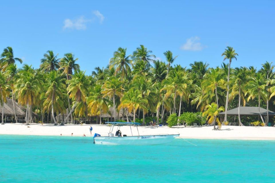 Full-Day Saona Island Tour by Speedboat - Excursion Highlights