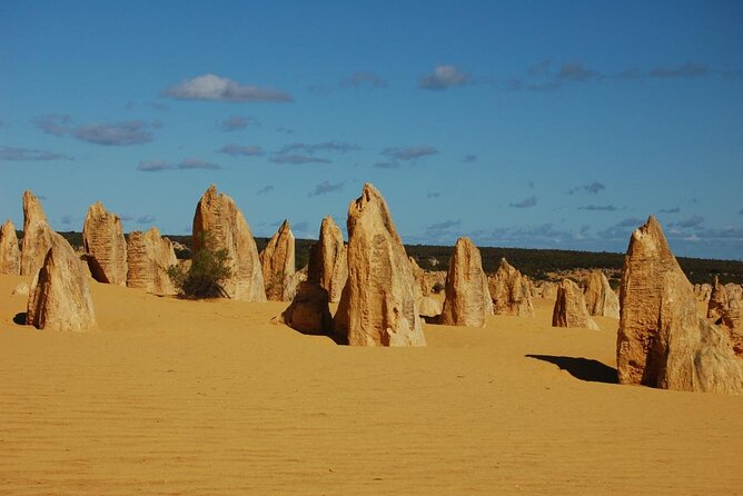 Full Day Wave Rock and Pinnacles Tour - Inclusions and Exclusions