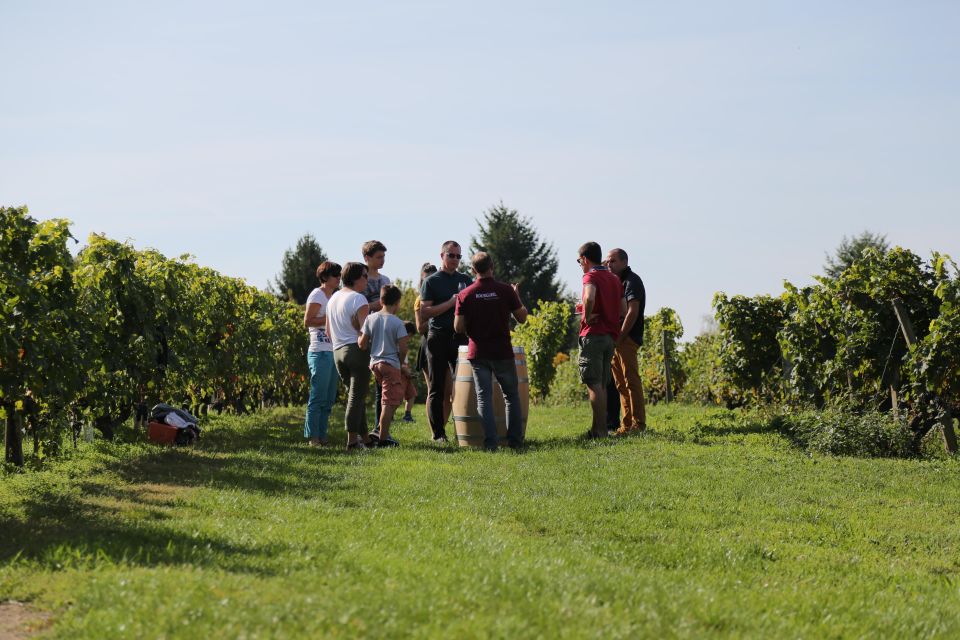 Full Day Wine Tour With Lunch at the Winery : Vouvray&Chinon - Itinerary