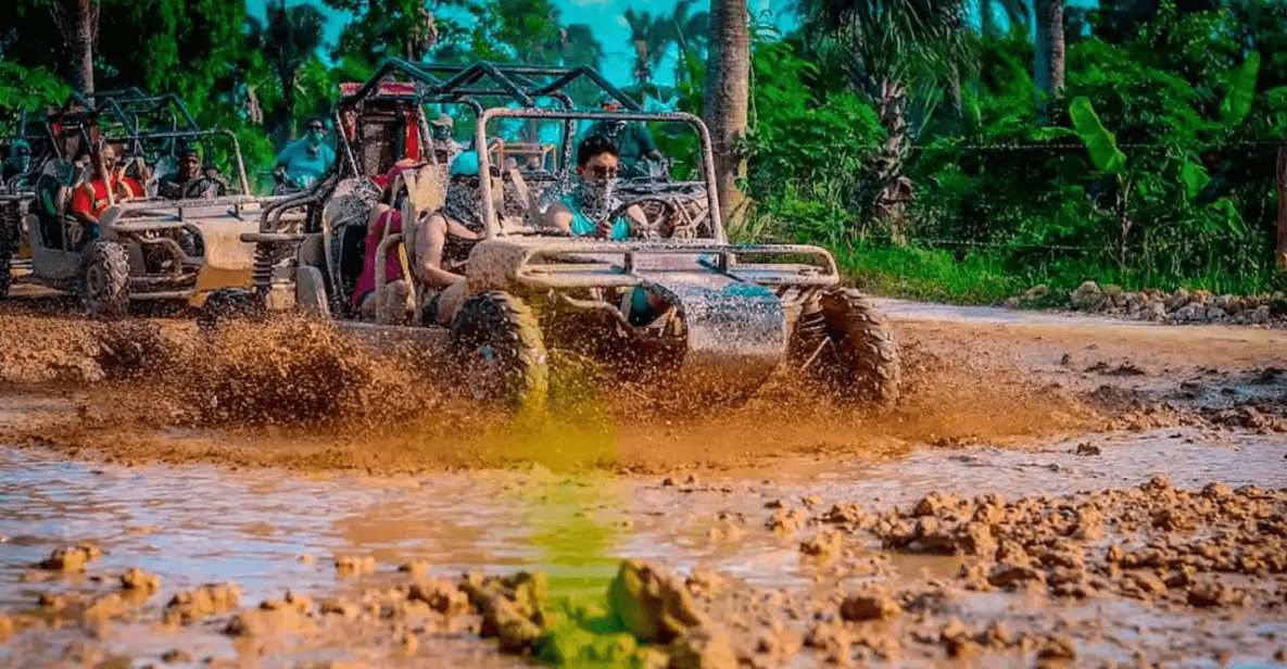 Full Dominican Adventure: Zipline, ATV, Horseback & Safari - Zipline Ride Through Forests