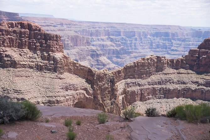 Grand Canyon, Hoover Dam and Joshua Tree Small Group Tour - Traveler Experiences and Reviews