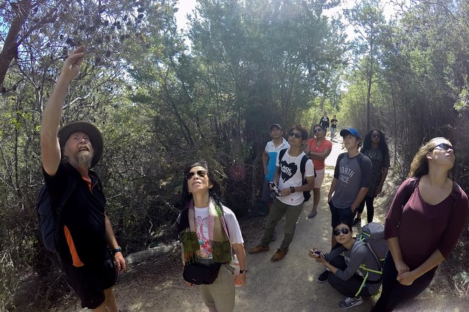 Group Day Hike With Oysters and Ice Cream to Wineglass Bay  - Hobart - Inclusions and Logistics