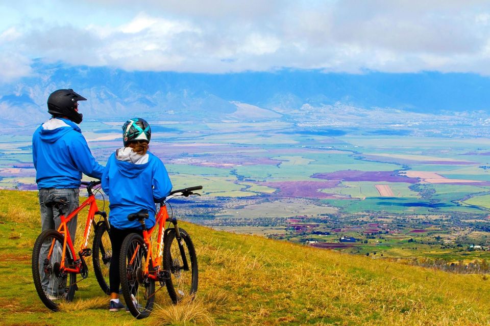 Haleakala Guided Bike Tour With Bike Maui (Daytime) - Activity Description