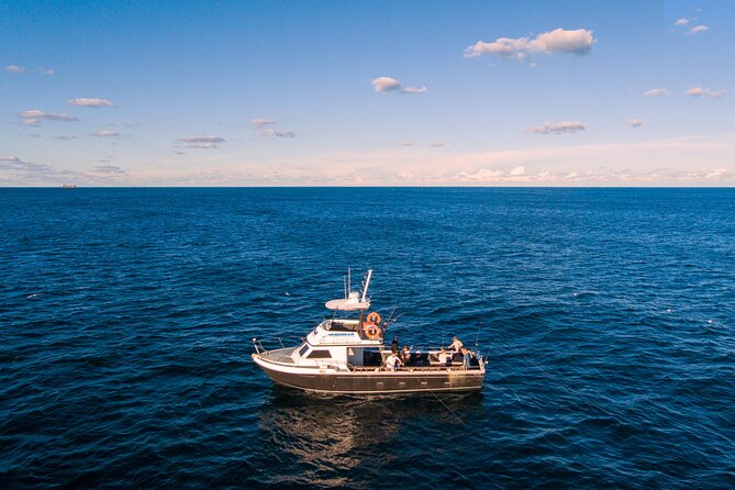 Half-Day Deep Sea Fishing in Wollongong - Expert Fishing Guidance