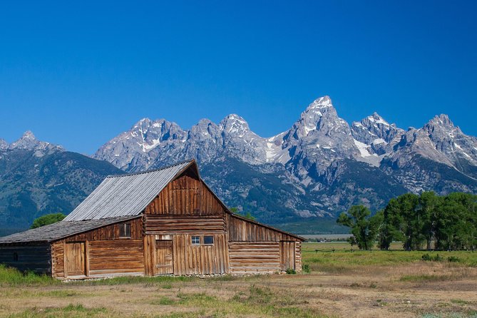 Half-Day Grand Teton Wildlife Safari Private Tour - Pricing and Additional Information