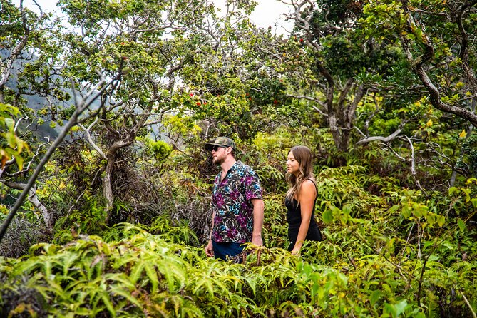 Half Day Private VIP Road to Hana Tour - Traveler Assistance