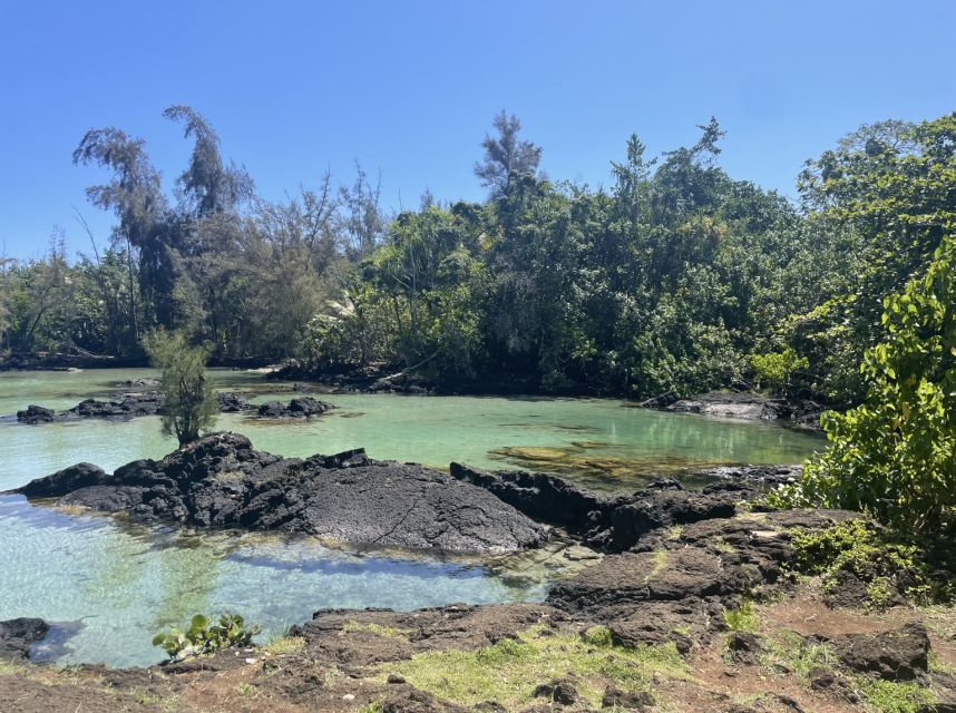 Hilo: Sea Turtle Lagoon and Black Sand Beach Snorkel - Tour Highlights