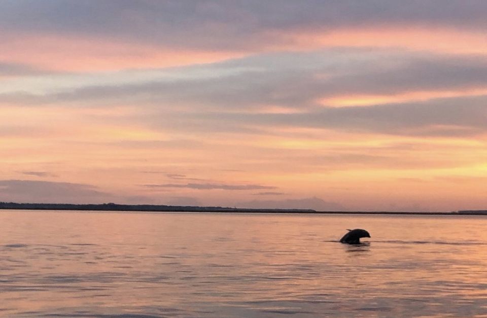 Hilton Head Island: Sunset Creek Cat Boat Tour - Experience Details