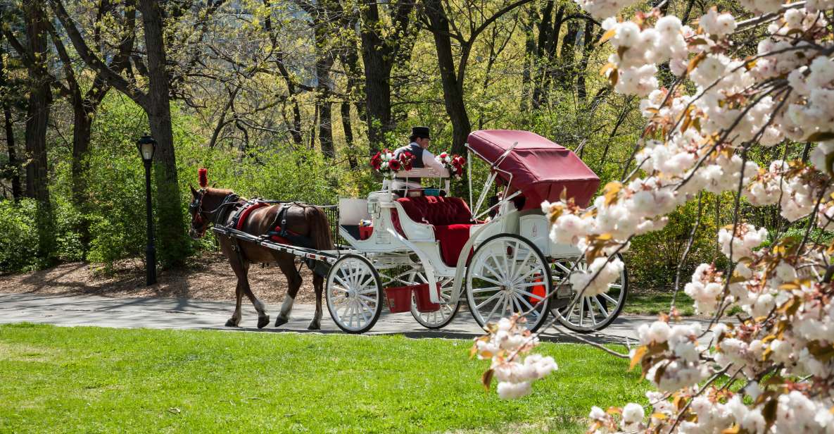 Horse and Carriage Rides Central Park - Experience Description
