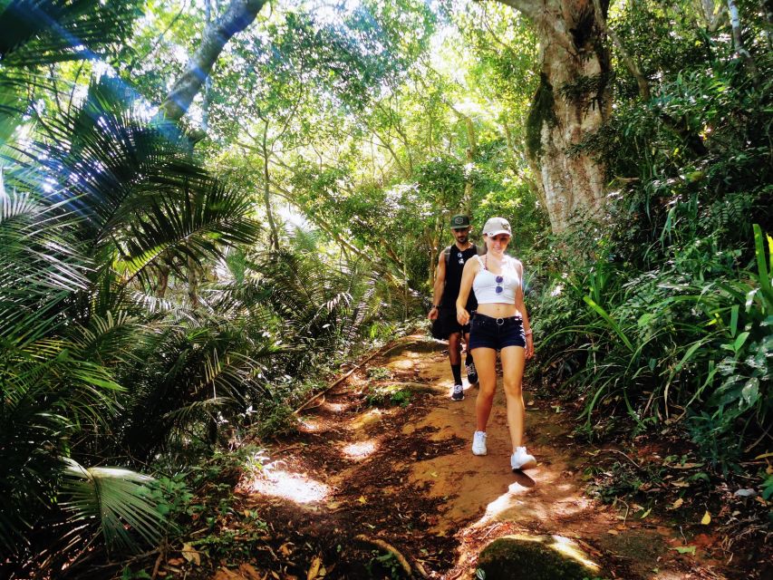 Ilha Grande: Lopes Mendes Private Hiking Tour - Full Experience Description