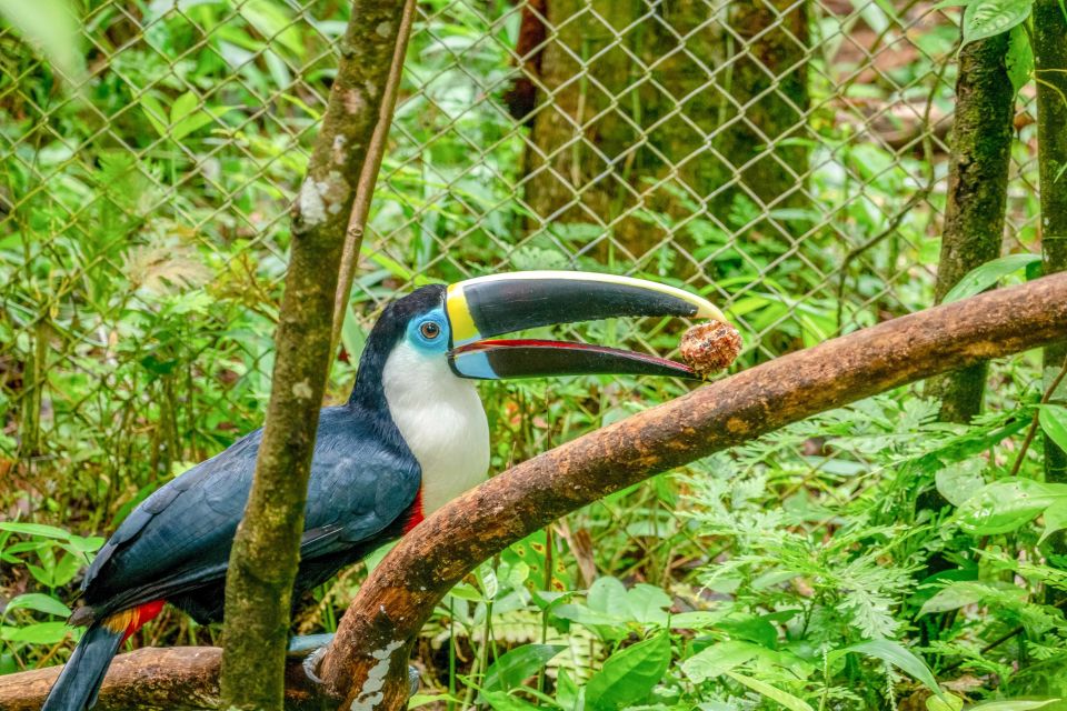 Iquitos: Amazon River Full Day Guided Tour - Booking Information