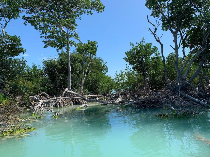 Islamorada: Guided Tour With Local Highlights - Tour Itinerary