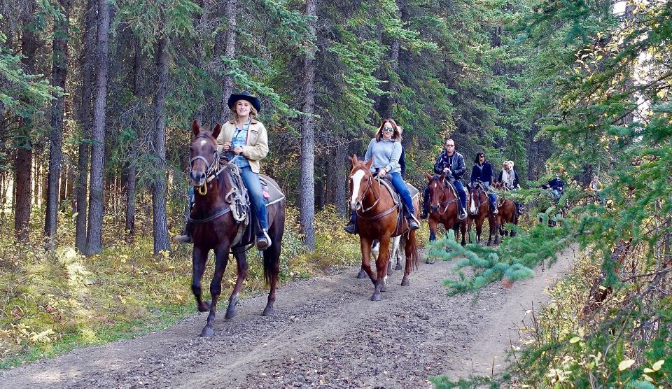 Jackson Hole: Bridger-Teton National Forest Horseback Ride - Full Description of Experience