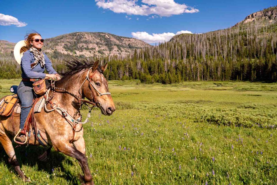 Jackson Hole: Dinner Cookout & Bridger-Teton Horseback Ride - Activity Highlights