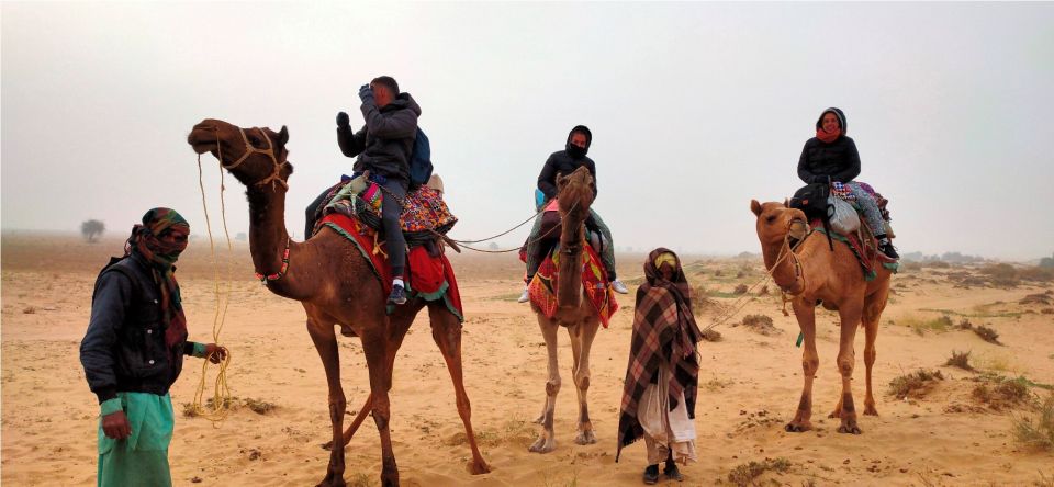 Jaisalmer: 1 Night Desert Nomad Experience With Camel Safari - Travel Highlights