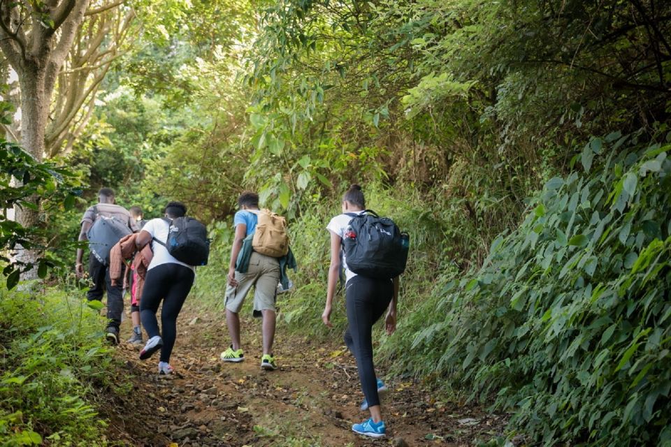 Jamaica: Blue Mountain Peak Hiking Tour - Customer Review