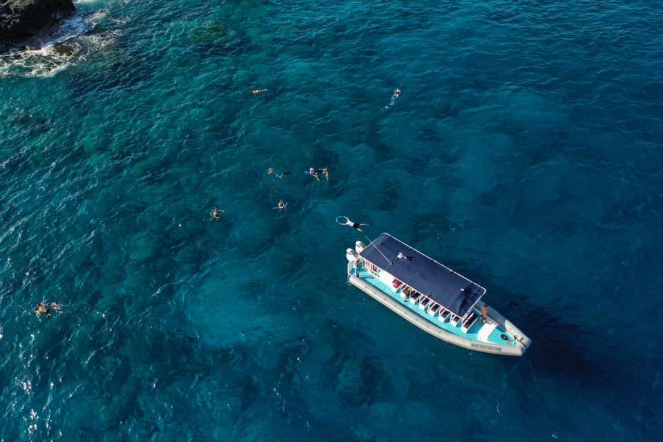 Kailua-Kona: Big Island Morning Snorkeling Tour With Lunch - Tour Highlights