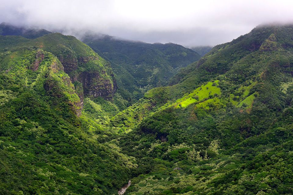 Kauai: Scenic Movie Locations Bus Tour - Booking Information