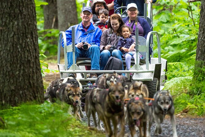 Kennel Tour and Dog Sled Ride - Reviews and Ratings