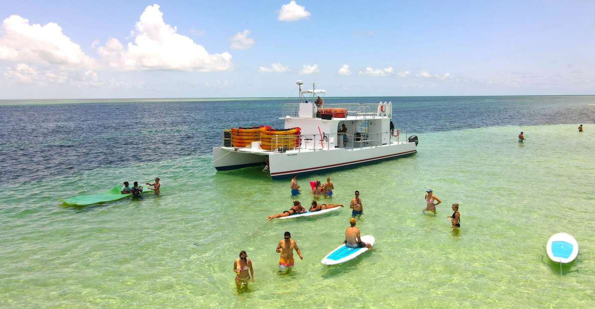 Key West Sandbar Excursion & Dolphin Tour Includes Beer Wine - Customer Experience