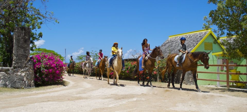 Kingston: Horseback Ride and Swim Excursion - Additional Information