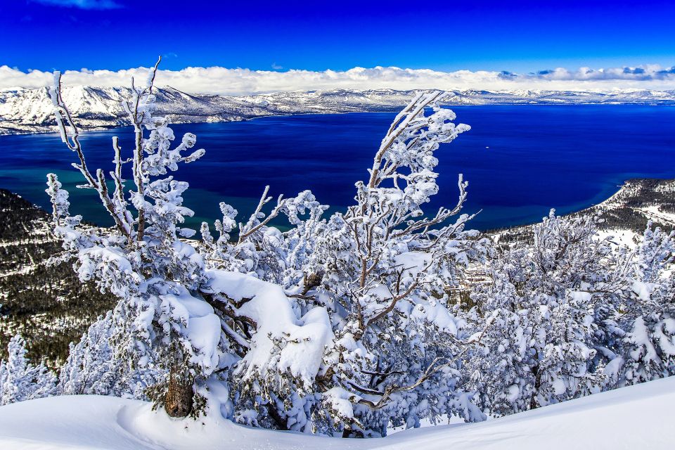 Lake Tahoe: Half-Day Photographic Scenic Tour - Wildlife and Nature