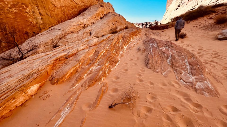 Las Vegas: Valley of Fire Scenic Tour - Customer Reviews