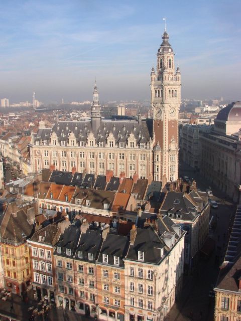 Lille - Private Historic Walking Tour - Inclusions