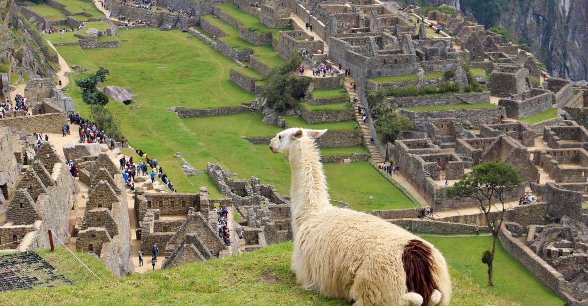 Lima: 9-Day Peru Express With Ica, Cusco, and Puno - Inclusions
