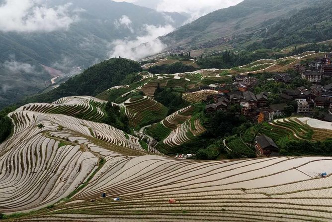 Longji Rice Terraces and Minority Village Day Tour - Traveler Reviews