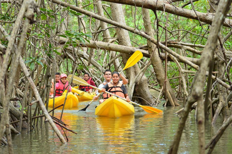 Los Haitises All One: Kayaking, Hiking, Boat, and Swimming - Local Lunch and Cultural Insights