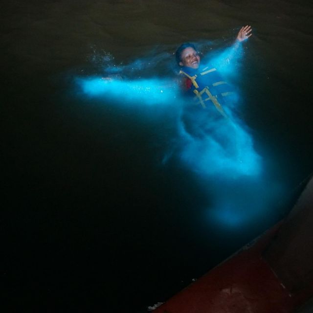 Luminous Lagoon Glistening Waters Night Tour - Guided Boat Tour