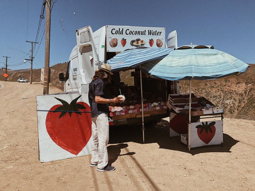 Malibu: Vintage VW Sightseeing Tour and Wine Tasting - Review Summary