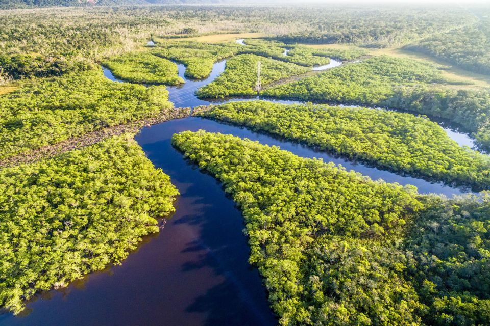 Manaus: Amazonas Jungle Trek & Anavilhanas Archipelago - Tour Inclusions