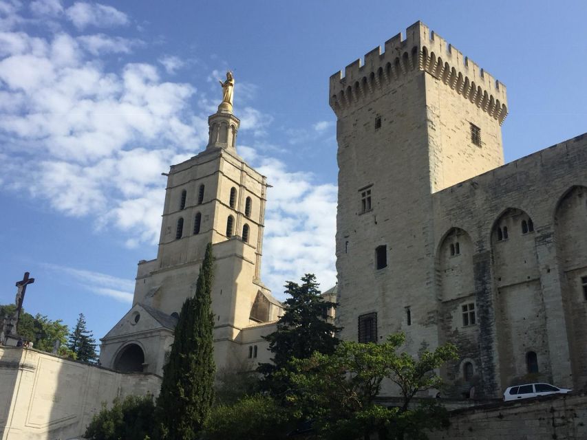 Marseille: Avignon and Côtes Du Rhône Wine Tasting Tour - Activity Description Overview