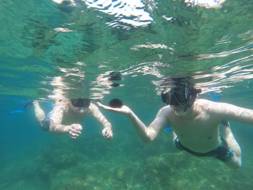 Marseille: Endoume Snorkeling Adventure With Snacks & Drinks - Inclusions and Restrictions