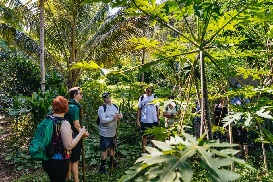 Maui: Hike to the Rainforest Waterfalls With a Picnic Lunch - Adventure Activities