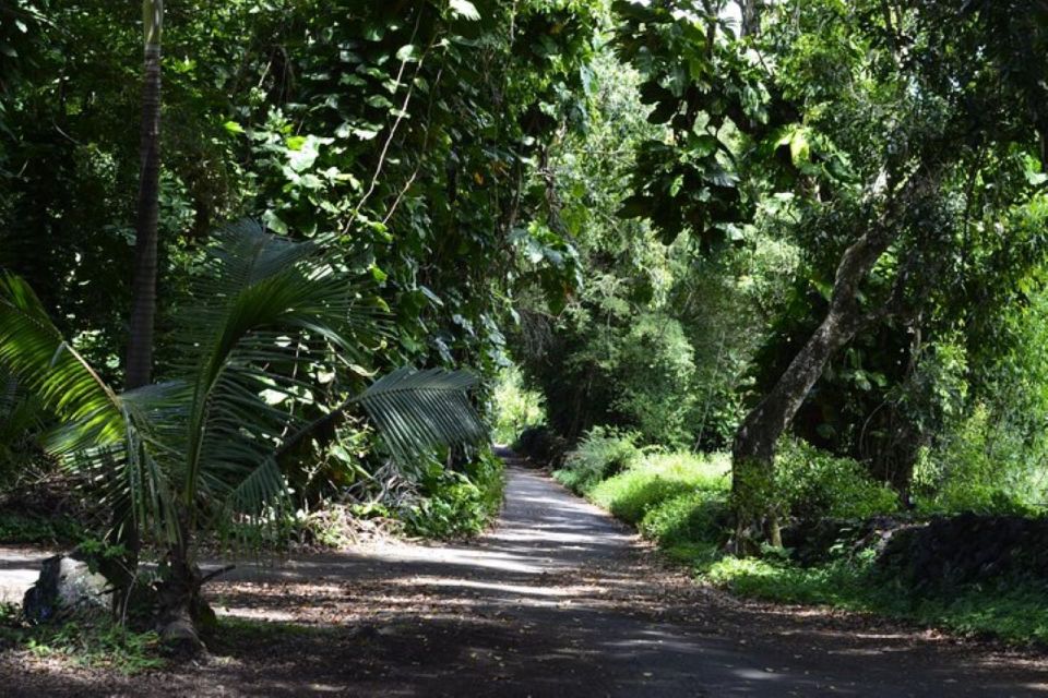 Maui: Iao Valley, Tropical Plantation & Lavender Farm Tour - Activity Details