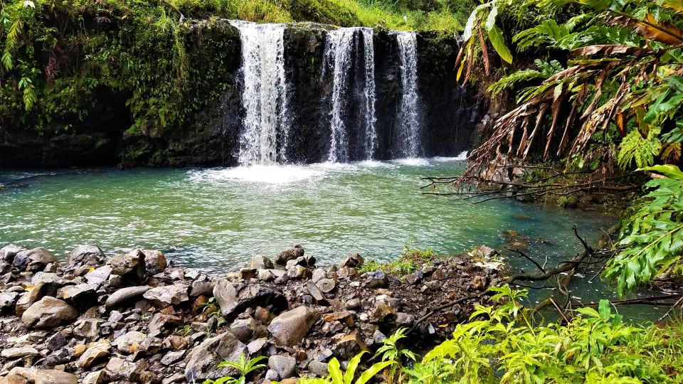 Maui Tropical Rainforest Eco Tour With Lunch - Tour Description