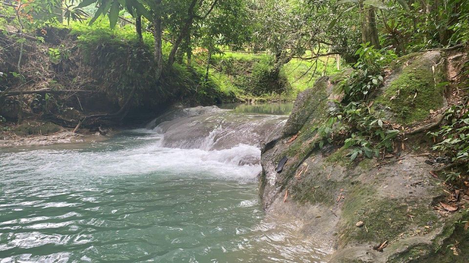 Mayfield Falls River Walk With Private Transportation - Inclusions