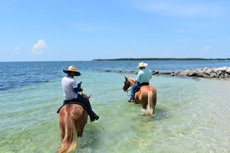 Miami: Beach Horse Ride & Nature Trail - Full Activity Description