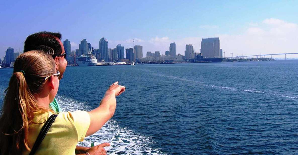 Miami City & Boat Tour With Bike Rental - Language Options and Highlights