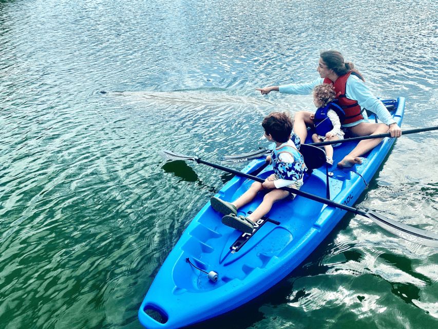 Miami: Manatee Season Tour Paddleboard or Kayak Tour - Itinerary